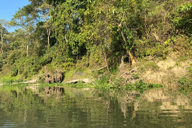2 Nights 3 Days Chitwan Safari Tour From Kathmandu or Pokhara - Pricing and Booking Information
