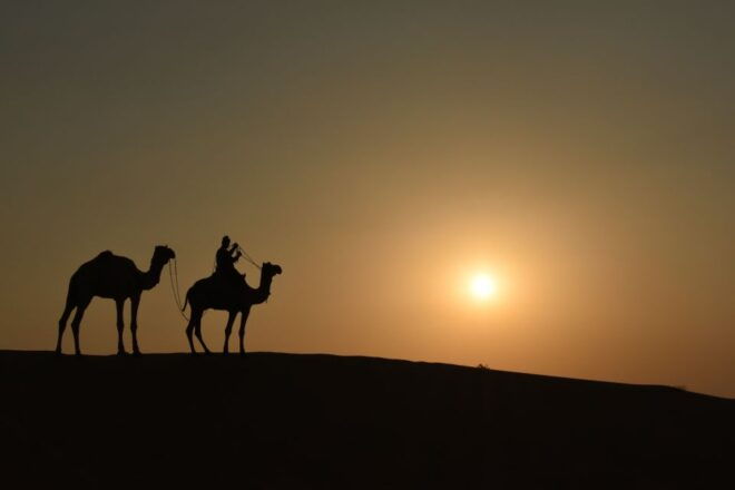 2 Nights 3 Days Jaisalmer Tour & Non-Touristic Camel Safari - Inclusions