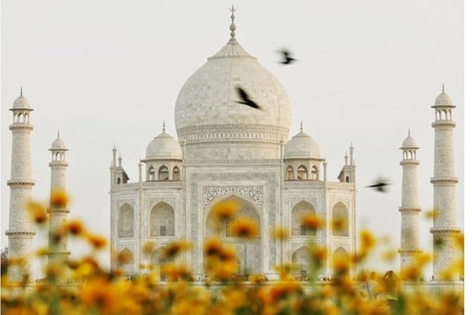 2 Nights 3 Days Trip to Agra and Jaipur - Cancellation Policy and End Point