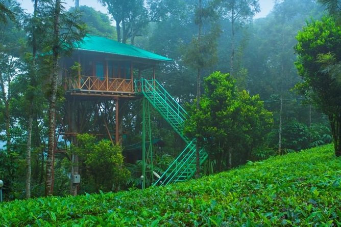 2 Nights Munnar Treehouse Escape With Private Car- Iris Holidays - Inclusions and Exclusions