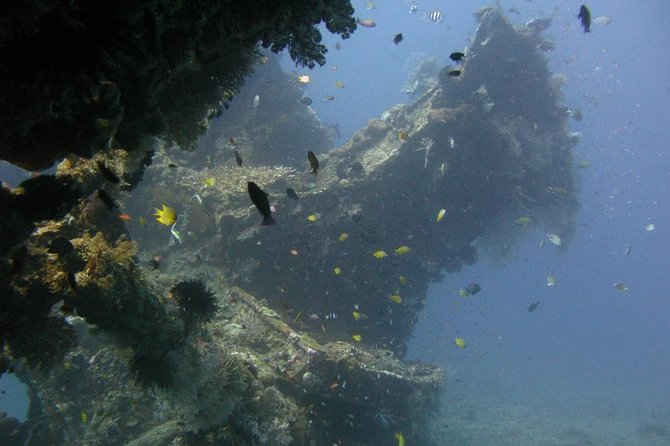 2 PADI Certified Dives at Tulamben From Bali - Excursion Details