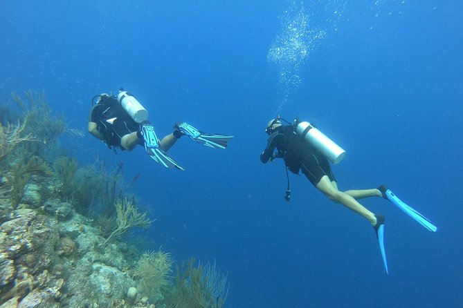 2 Tank Boat Dive - Booking Confirmation and Availability