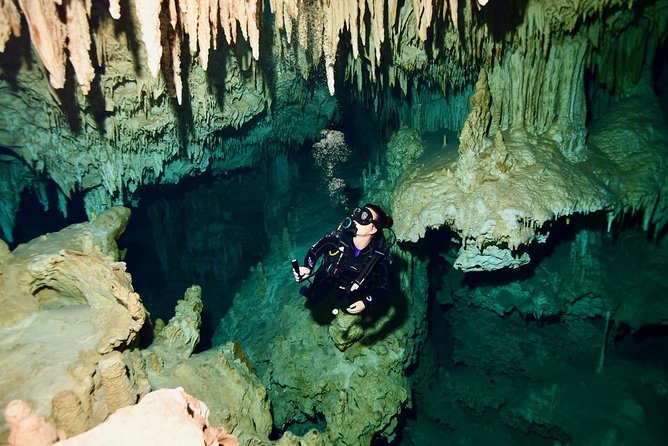 2-Tank Cenote Certified Dive in Tulum - Tour Details
