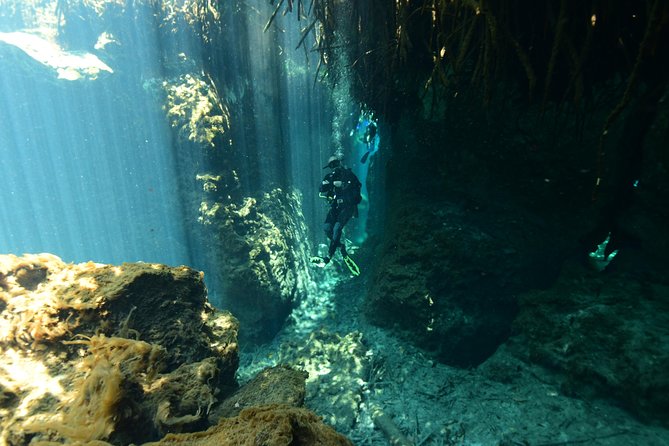 2-Tank Cenote Certified Dive in Tulum - Additional Information