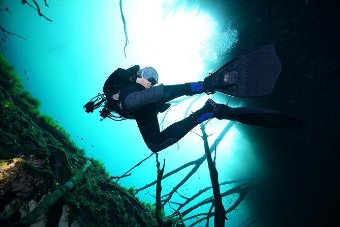 2-Tank Cenote Certified Dive in Tulum - Viator Help Center and Booking Details