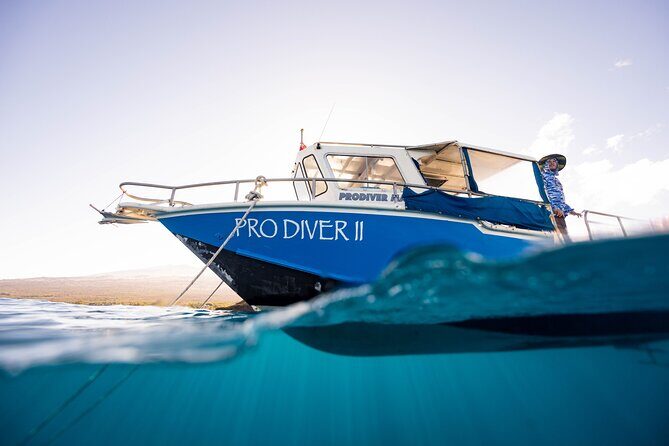 2-Tank Dive Featuring the Molokini Crater - An In-Depth Look at the Tour Experience