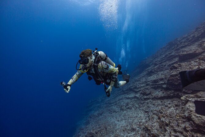 2-Tank Dive Featuring the Molokini Crater - Final Thoughts: Is This Tour Right for You?