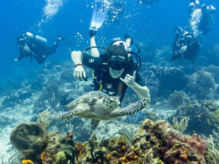 2 Tank Dive in Cozumel's Marine National Park - Dive Details