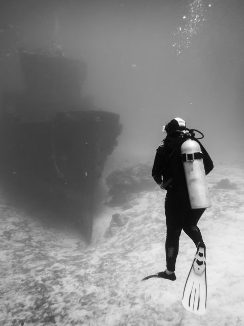 2 Tank Dive in Cozumel's Marine National Park - Booking Information