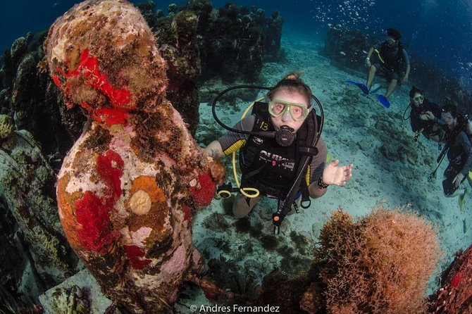 2 Tank Dives MUSA and Manchones Reef (Certified Divers) - Overview of MUSA Dive Experience