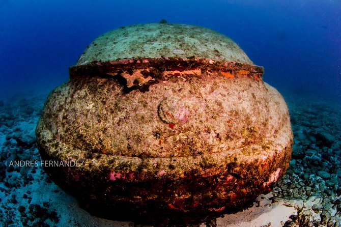 2 Tank Dives MUSA and Manchones Reef (Certified Divers) - Exploring the Complex Reef Structure