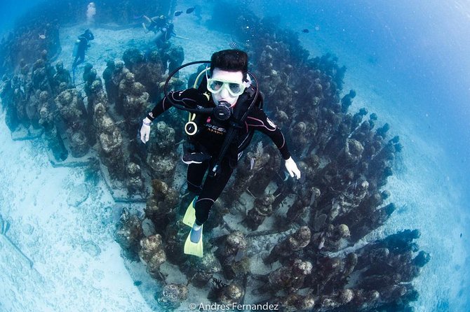 2 Tank Dives MUSA and Manchones Reef (Certified Divers) - Admiring Impressive Underwater Sculptures