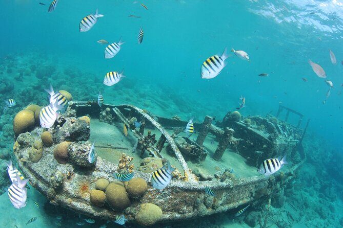 2 Tank Guided Dive half-day - Final Thoughts