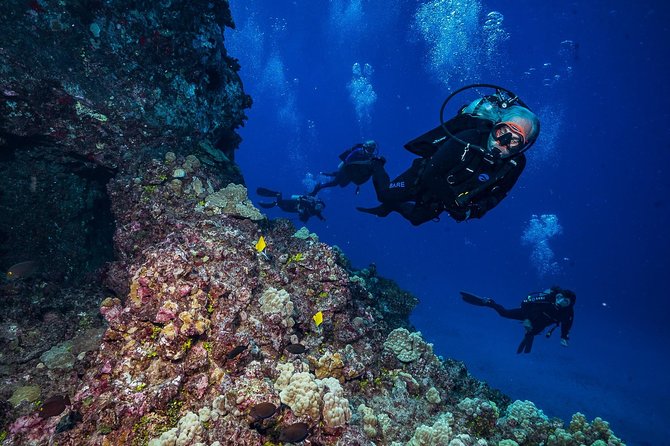 2 Tank Lanai Cathedral Dive - Positive Customer Experiences
