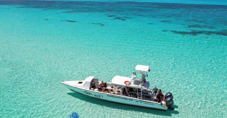 2 Tank Morning Cozumel Dives for Certified Divers - Booking Information