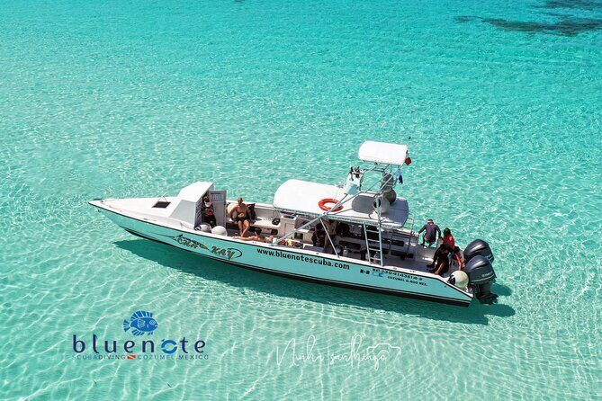 2 Tank Morning Dive: Scuba Diving in Cozumel - Introduction