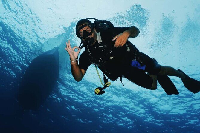 2 Tank Morning Dive: Scuba Diving in Cozumel - Marine Life and Reef Highlights