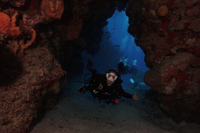 2 Tank Morning Dive: Scuba Diving in Cozumel - The Value of This Experience