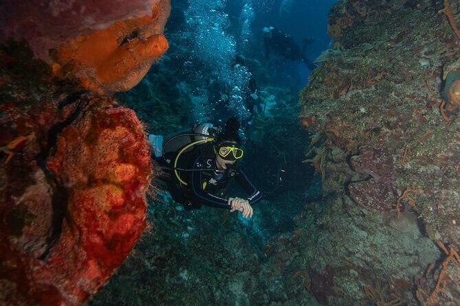 2 Tank Morning Dive: Scuba Diving in Cozumel - The Sum Up