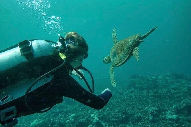 2 Tank Shore Dive at Sea Turtle Cove - Booking and Flexibility