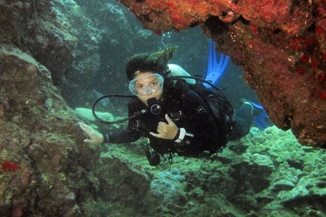 2 Tank Shore Dive at Sea Turtle Cove - Dive Details