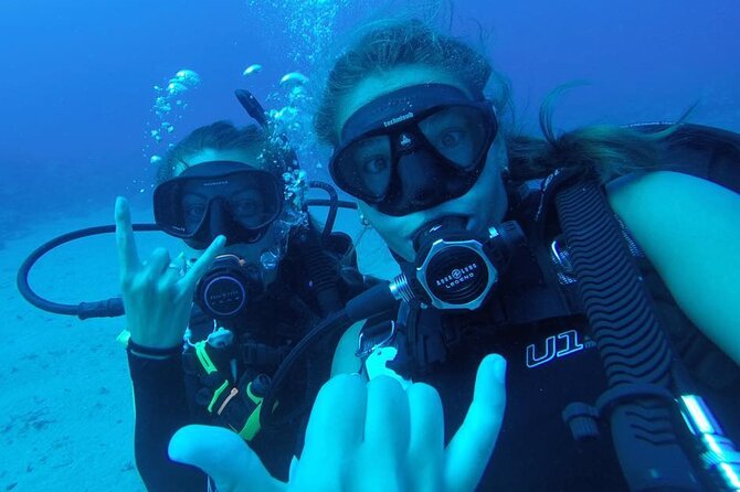 2 Tank Shore Dive at Sea Turtle Cove - Meeting and Pickup