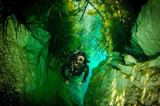 2 Tanks Cenote Diving Adventure in Tulum for Certified Divers - Cancellation Policy