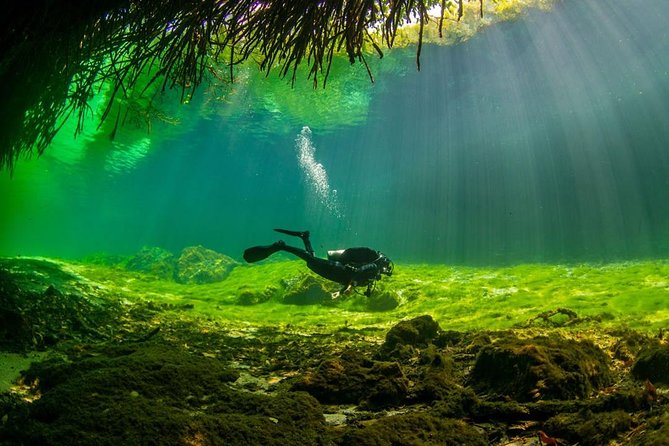 2 Tanks Cenote Diving Adventure in Tulum for Certified Divers - Customer Reviews