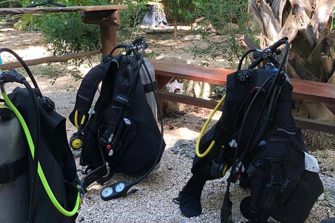 2 Tanks Cenote Diving Adventure in Tulum for Certified Divers - Common Questions