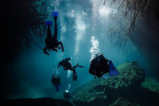 2 Tanks Cenote Diving Adventure in Tulum for Certified Divers - The Sum Up