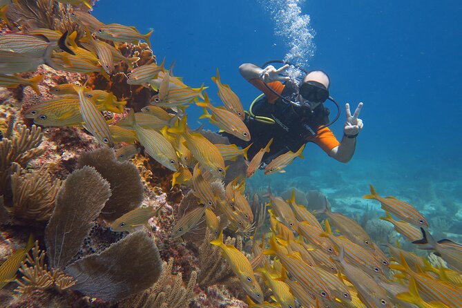 2 Tanks Dives Cancun Underwater Museum for Certified Divers - Meeting and Pickup Details