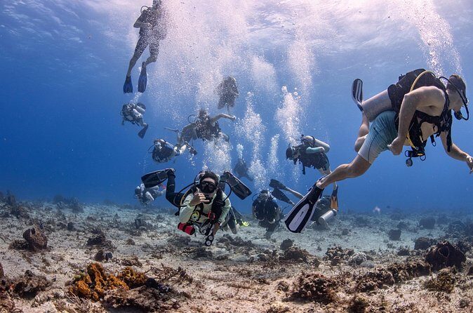 2 Tanks dives for Certified Divers in Cozumel - Who Should Consider This Tour?