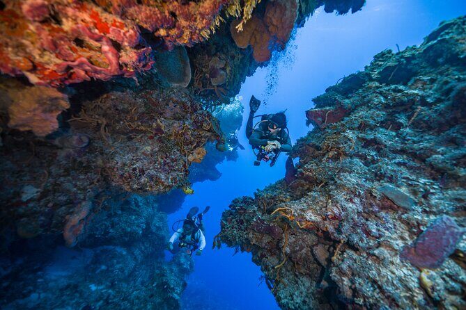 2 Tanks dives for Certified Divers in Cozumel - Final Thoughts: Is It Worth It?