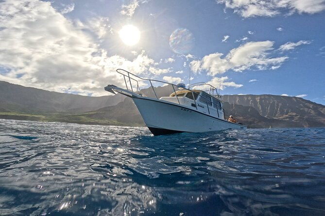 2 Tanks Scuba Dive Kaua'i from a Boat - An In-Depth Look at What to Expect