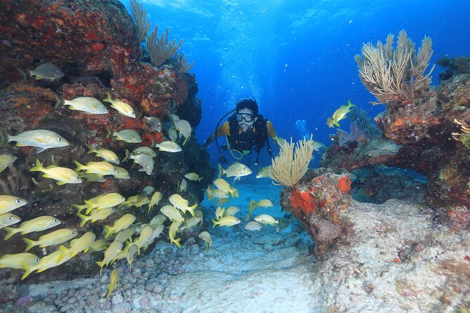 2 Tanks Scuba Diving for Beginners in Cancun Personalized Service - Tour Details and Inclusions