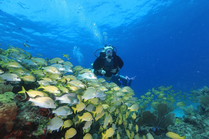 2 Tanks Scuba Diving for Beginners in Cancun Personalized Service - Meeting and Logistics