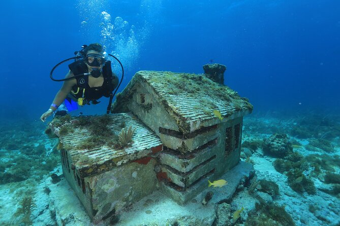 2 Tanks Scuba Diving for Beginners in Cancun Personalized Service - The Sum Up