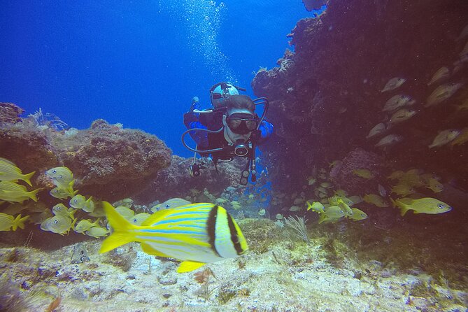 2 Tanks Scuba Diving in Punta Cancun Reefs for Certified Divers - Inclusions