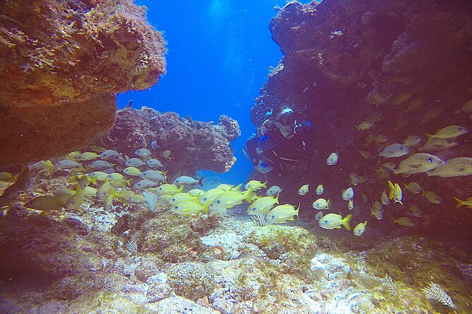 2 Tanks Scuba Diving Wreck and Reef in Cancun for Certified Divers - Meeting and Pickup Details