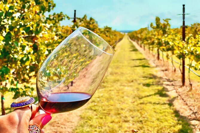 2 to 5 Guests Fredericksburg Private Mercedes SUV Wine Tour - An In-Depth Look at the Fredericksburg Wine Tour