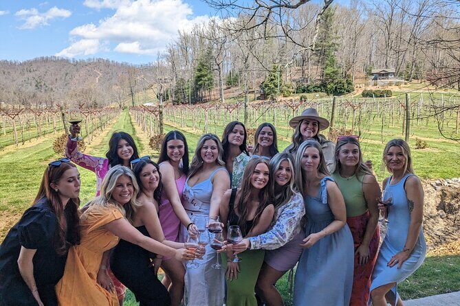 2 Vineyard Wine Tour of Western NC - Who Should Consider This Tour?