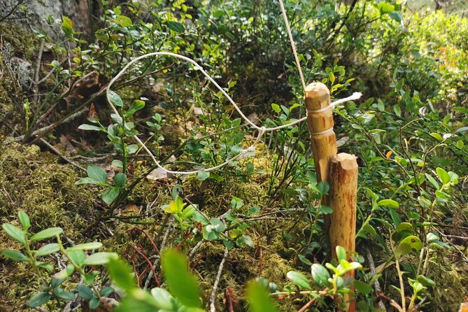 2-Weeks Cast-Away Survival Course in Södermanland - The Sum Up