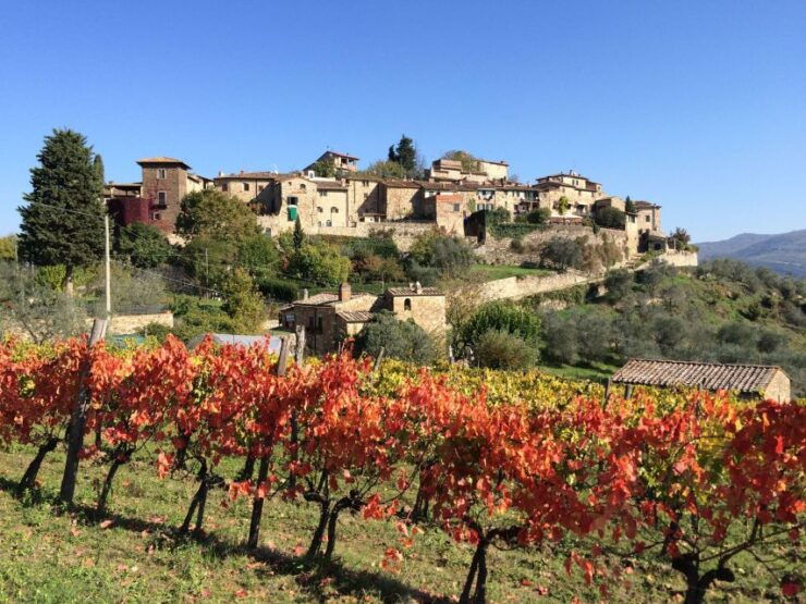 2 Wineries Chianti Wine Tasting Private Tour - Winery Selection