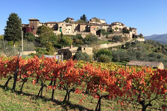 2 Wineries Chianti Wine Tasting Private Tour - Pricing and Group Size