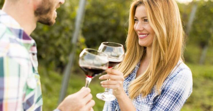 2 Wineries Tour With Wine Tasting, Olive Oil Tasting & Lunch - Tour Itinerary