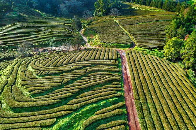 2 X Day Tour Pack With Lunch Included (Furnas Sete Cidades Fogo Nordeste) - Important Information