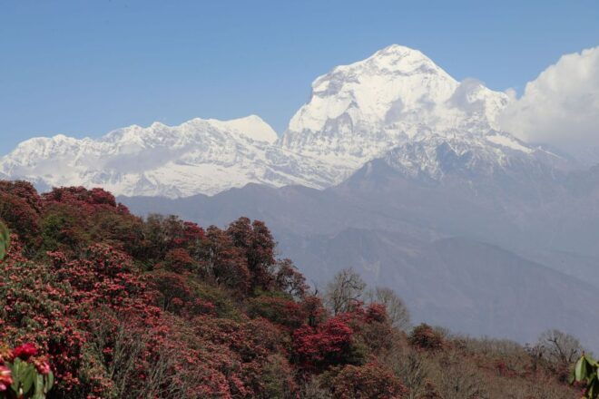 20 Days Dhaulagiri Circuit Trek From Kathmandu - Live Tour Guide