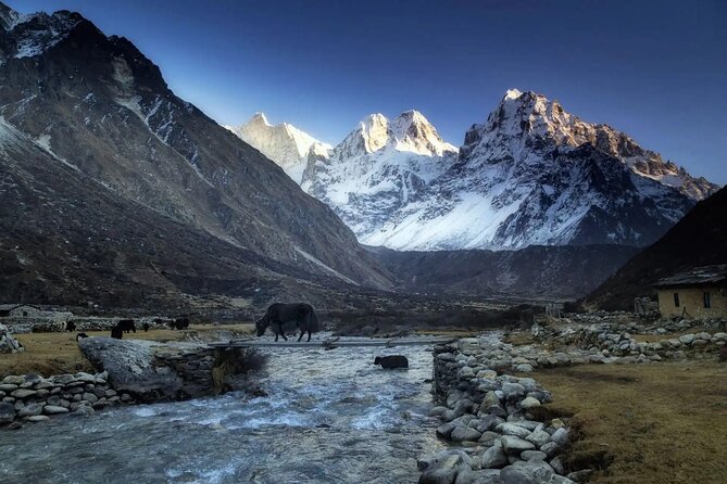 20 Days Private Kanchenjunga Circuit Trek - Common Questions