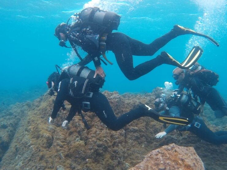 20 Minute Try Dive for Beginners - Activity Details