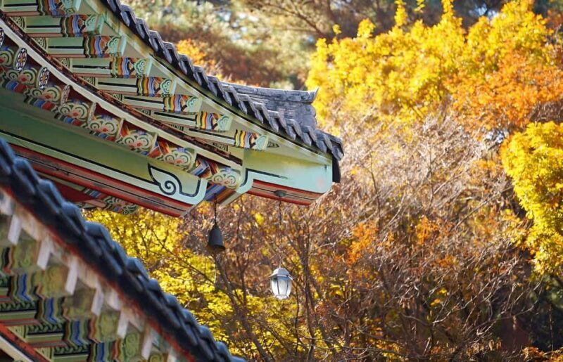 2025 Jeju Autumn Tour with Pink Muhly Festival Hotel pickup - Who Will Love This Tour?